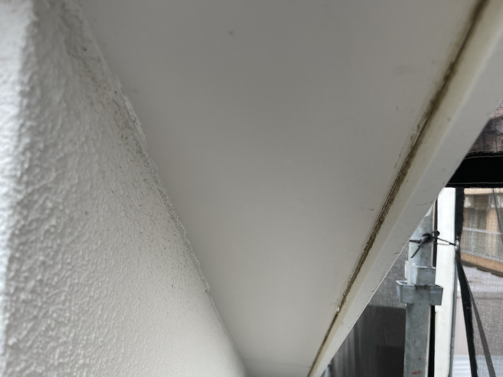 東京都東村山市　O様邸　外壁塗装工事　軒天井の傷みに注意！